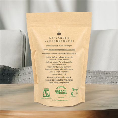 compostable kraft paper bag.jpg